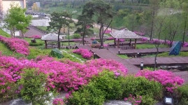 테이블34 - 서울특별시 강남구 - 가볼만한곳 - 관광지랭킹