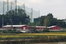 아메리카나 안성점 (2026) - 경기도 안성시 가볼만한곳 - 관광지랭킹