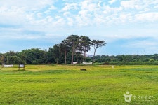 황룡친수공원 관광 정보와 주변 관광 명소 및 근처 맛집 여행 정보