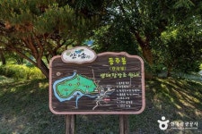 배바우청정 정보화마을 관광 정보와 주변 관광 명소 및 근처 맛집 여행 정보