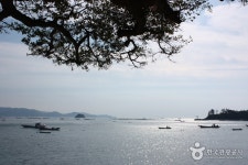 예송해수욕장 - 전라남도 완도군 - 가볼만한곳 - 관광지랭킹