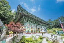 김포아라마린페스티벌 - 경기도 김포시 - 가볼만한곳 - 관광지랭킹