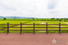 나래공원 - 충청남도 부여군 - 가볼만한곳 - 관광지랭킹