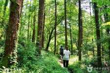 죽령옛길 - 경상북도 영주시 - 가볼만한곳 - 관광지랭킹