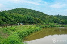 창평지 친환경 생태공원 관광 정보와 주변 관광 명소 및 근처 맛집 여행 정보