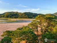 선몽대 (2026) - 경상북도 예천군 가볼만한곳 - 관광지랭킹