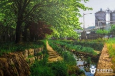 팔복동 이팝나무 철길 (2026) - 전북특별자치도 전주시 덕진구 가볼만한곳 - 관광지랭킹