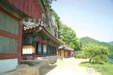 제천 산야초마을 - 충청북도 제천시 - 가볼만한곳 - 관광지랭킹