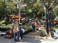 남산공원(화순) - 전라남도 화순군 - 가볼만한곳 - 관광지랭킹