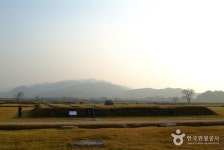 벤자마스 - 경상북도 경주시 - 가볼만한곳 - 관광지랭킹