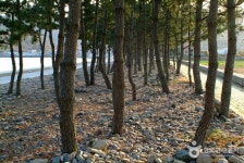 월포해수욕장 - 캠프위크