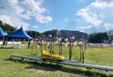 평창 세계태권도한마당 2019 - 강원특별자치도 평창군 - 가볼만한곳 - 관광지랭킹