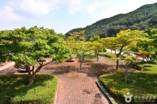 불갑저수지 수변공원 - 전라남도 영광군 - 가볼만한곳 - 관광지랭킹