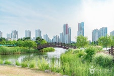 한강신도시 호수공원 (2026) - 경기도 김포시 가볼만한곳 - 관광지랭킹