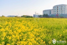 제주뚝배기 (2026) - 제주특별자치도 서귀포시 가볼만한곳 - 관광지랭킹