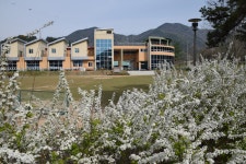 조팝꽃피는마을 - 충청남도 금산군 - 가볼만한곳 - 관광지랭킹