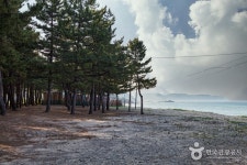잔교리해수욕장 - 강원특별자치도 양양군 - 가볼만한곳 - 관광지랭킹