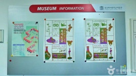 Ảnh kết quả tìm kiếm Naver 4
