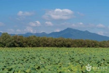 팔당물안개공원 관광 정보와 주변 관광 명소 및 근처 맛집 여행 정보