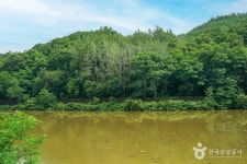 창평지 친환경 생태공원 관광 정보와 주변 관광 명소 및 근처 맛집 여행 정보