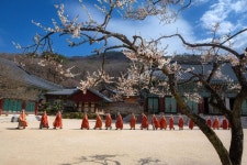 송광사(순천) 관광 정보와 주변 관광 명소 및 근처 맛집 여행 정보
