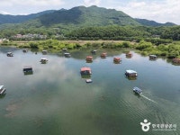 Naver 搜尋結果照片 1