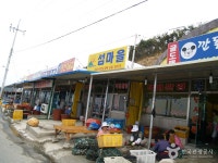 보령 천북굴단지 - 충청남도 보령시 - 가볼만한곳 - 관광지랭킹