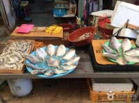 영광장 (1, 6일) 쇼핑 정보와 주변 관광 명소 및 근처 맛집 여행 정보