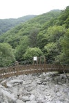 산, 몽덕산 - 캠프위크