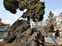 곤지바위 - 경기도 광주시 - 가볼만한곳 - 관광지랭킹