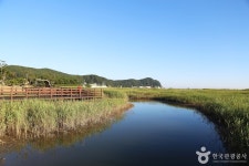 다대포해수욕장 - 부산광역시 사하구 - 가볼만한곳 - 관광지랭킹