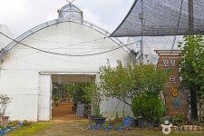 퀸승마클럽 (2026) - 경기도 화성시 효행구 - 가볼만한곳 - 관광지랭킹