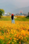 충의공원 - 전라남도 곡성군 - 가볼만한곳 - 관광지랭킹