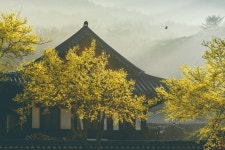 송광사(순천) 관광 정보와 주변 관광 명소 및 근처 맛집 여행 정보