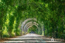 효목시장 - 대구광역시 동구 - 가볼만한곳 - 관광지랭킹