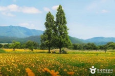 덕산해변 관광 정보와 주변 관광 명소 및 근처 맛집 여행 정보