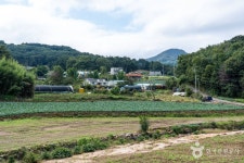 서산 꽃송아리마을 (2026) - 충청남도 서산시 가볼만한곳 - 관광지랭킹