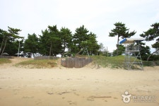 자은 백길해수욕장 - 캠프위크