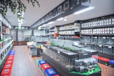 Arachnopia Ecological Arboretum (JooPil Spider Museum) (아라크노피아 생태수목원·주필거미박물관) - 관광지랭킹