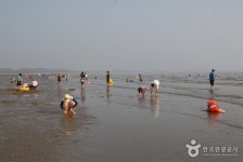 Mongsanpo Beach (몽산포해수욕장) - Korea Tour Ranking