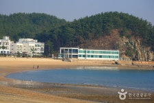 Yeonpo Beach (연포해수욕장) - 관광지랭킹