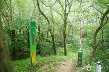 선달산 - 경상북도 봉화군 - 가볼만한곳 - 관광지랭킹