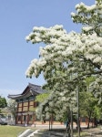 자인계정숲(경산 자인의계정숲) (2026) - 경상북도 경산시 가볼만한곳 - 관광지랭킹