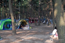 Mongsanpo Beach (몽산포해수욕장) - Korea Tour Ranking