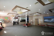 Bears Town Youth Hostel (베어스타운 유스호스텔) - Korea Tour Ranking