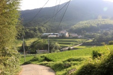 금양가든 - 경상남도 하동군 - 가볼만한곳 - 관광지랭킹