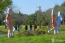 수도권매립지 야생화단지 드림파크 - 인천광역시 서구 - 가볼만한곳 - 관광지랭킹