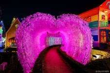 퍼스트가든 관광 정보와 주변 관광 명소 및 근처 맛집 여행 정보