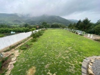 รูปภาพผลการค้นหา Naver 1