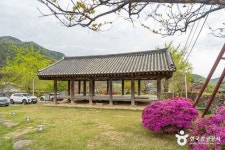 군위대율리대청 (2026) - 대구광역시 군위군 가볼만한곳 - 관광지랭킹
